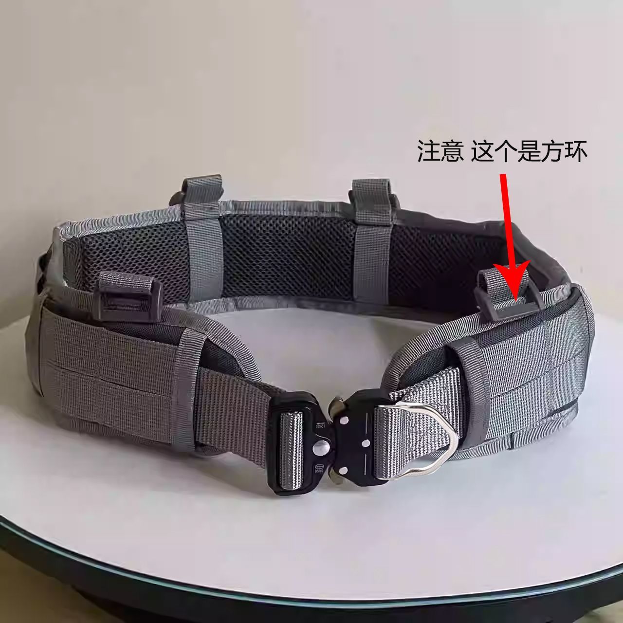 Schwarzer, gepolsterter, takti – Fishing Belt Bewertung und Preis